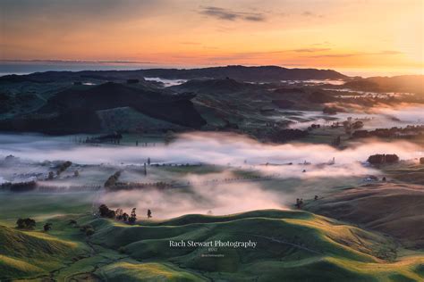 Te Mata Peak Sunrise fog | New Zealand Landscape Photography | NZ Photo ...