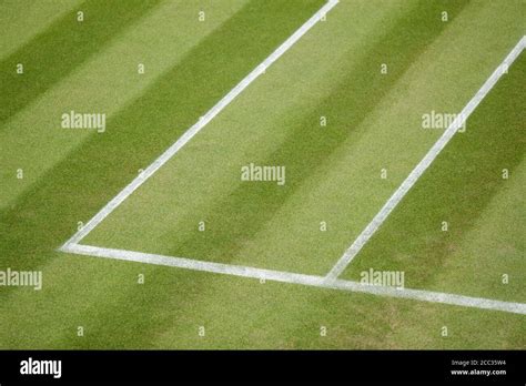 Court lines on a tennis court Stock Photo - Alamy