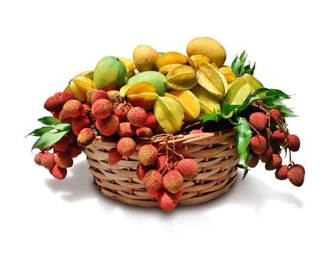 Tropical Fruits Free Photo Download | FreeImages