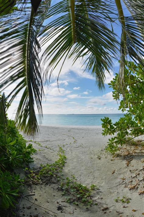 tropical beach landscape 11919313 Stock Photo at Vecteezy