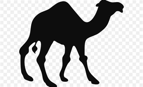 Camel Silhouette Black And White Clip Art, PNG, 600x501px, Dromedary ...