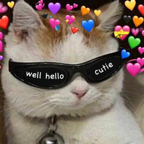 ¿Cómo estás, lindo? Estoy loca para ti😉. | Cute cat memes, Cute love memes, Cat memes