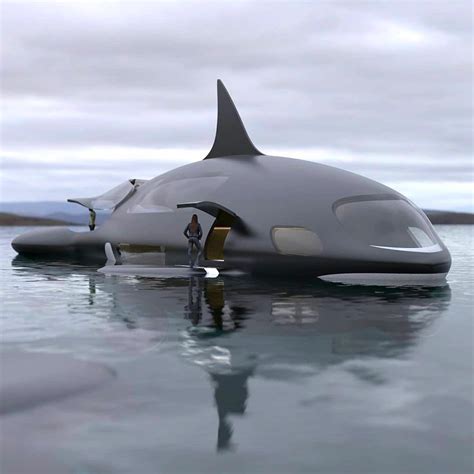 Orca Submarine Concept， What do you think? : r/LuxuryLifeHabits