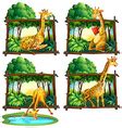 Giraffe and flower frame Royalty Free Vector Image