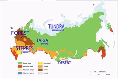 Biomes of Russia | Biomes, Russia, Steppe