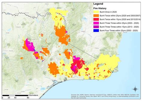 Why Australia’s severe bushfires may be bad news for tree regeneration | Pursuit by The ...