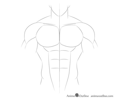 Male Upper Body Drawing