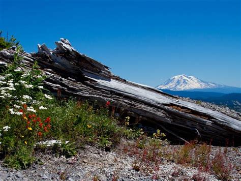 CamperEdge | Gifford Pinchot National Forest