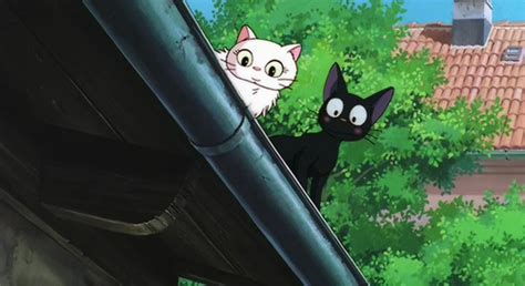 Jiji the Black Cat - All About Ami