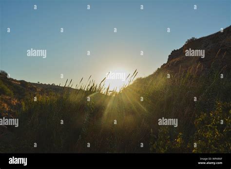 Sunset in the Savannah Stock Photo - Alamy