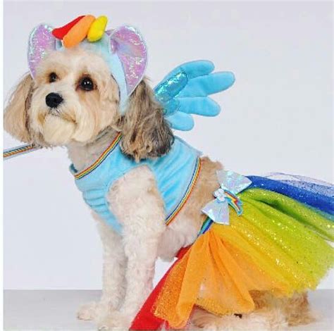 Rubie's Announces MLP Costumes... For Dogs | MLP Merch