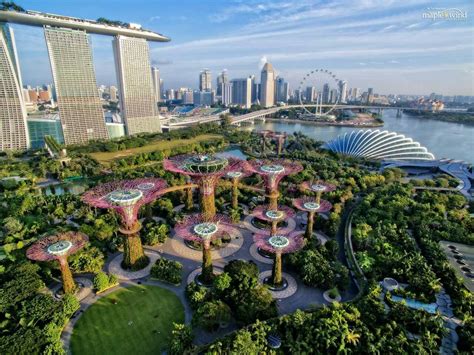 Garden by the bay, Singapore | Marina bay sands, Singapore, Travel beauty