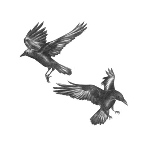 Huginn & Muninn Raven Temporary Tattoo / Huggin and Muninn - Etsy Australia