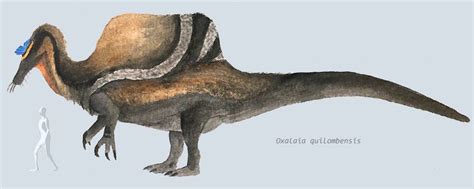 10 best Oxalaia (Cretaceous) images on Pinterest | Prehistoric animals ...