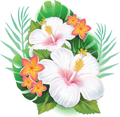 Tropical Flower Png Free Download - Photo #522 | Flower art images ...