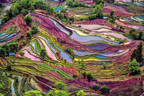 Yuanyang, Yunnan Province, China | Paysage, Paysages du monde, Belle photo