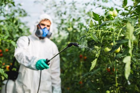 7 Ways Pesticides Impact Your Health & What To Do About It