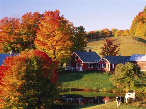 View full size - Jenne's Farm in Autumn, Vermont | Vermont farms, Fall ...