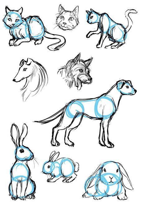 40 Free & Easy Animal Sketch Drawing Ideas & Inspiration - Brighter ...