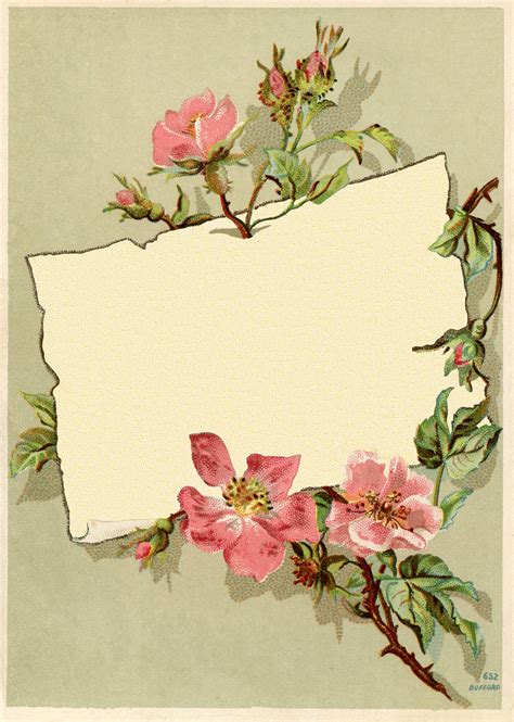 Vintage Roses Border