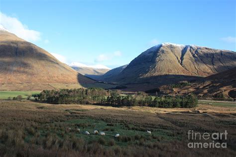 Tyndrum Scotland Photograph by William Houston