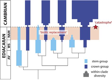 Figure 4 from Causes and consequences of end-Ediacaran extinction – an ...