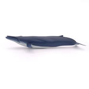 PAPO Marine Life Blue Whale Toy Figure