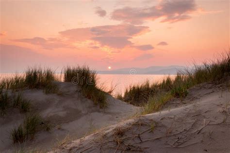 Dunes with Marram Grass stock photo. Image of arenaria - 77848748