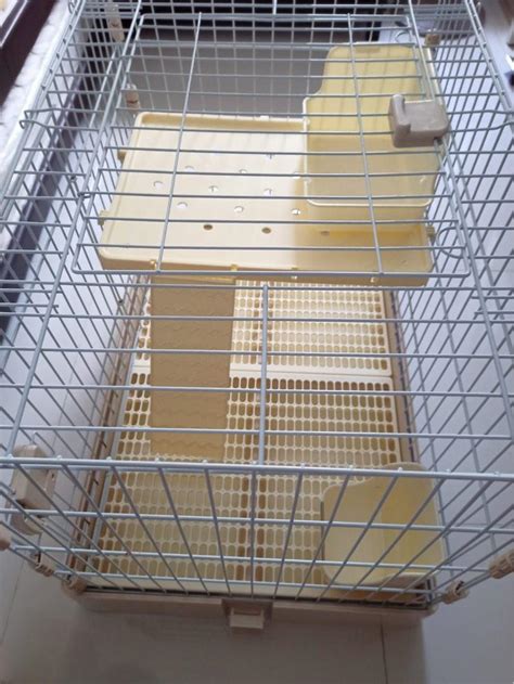 Large Double storey rabbit cage with wheels. , Pet Supplies, Homes ...