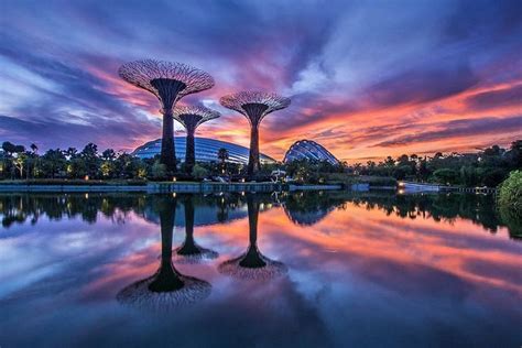 Sunrise Date With Singapore's Super Trees A sunrise photo taken at ...