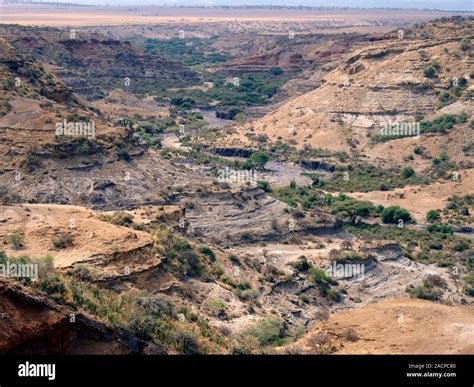 Olduvai Gorge, Tanzania. This gorge (also called Oldupai Gorge) is famous for the fossils ...