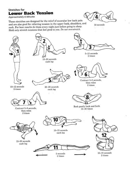 56 best images about Physical Therapy exercises for back on Pinterest | Physical therapy, Lower ...