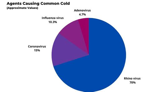 Rhinovirus Infection - Symptoms | Treatment | Prevention