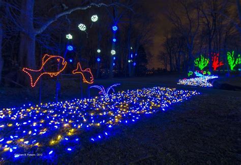 Meadowlark Winter Walk of Lights at Meadowlark Botanical Gardens in Vienna, Virginia | Christmas ...