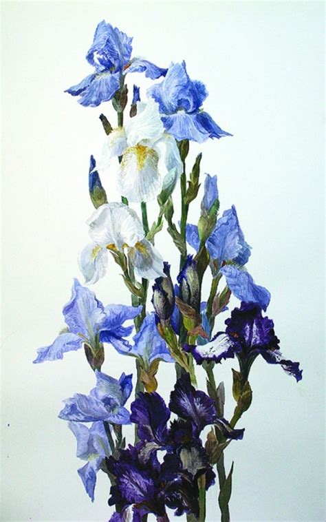 Iris symbolism and painting - Art Kaleidoscope