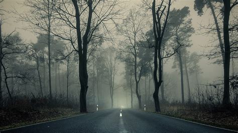 4K Free download | Foggy Forest, Road, Trees, Darkness, Mood, foggy ...