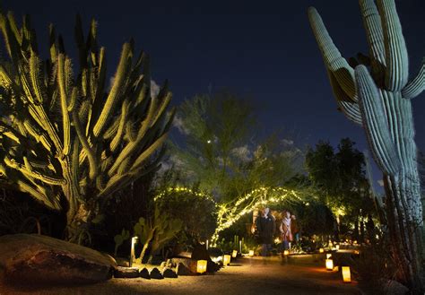 Your guide to Desert Botanical Garden's Christmas lights in Phoenix