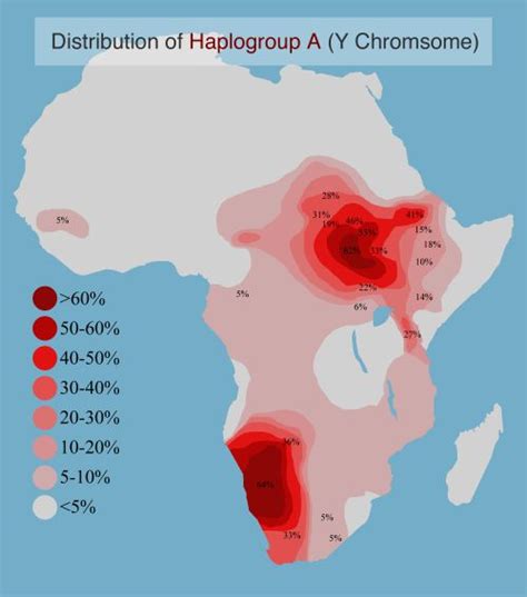 Distribution of Haplogroup A, the earliest diverging Y-Chromosome ...