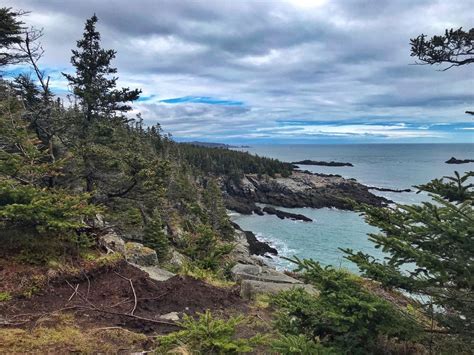 Quoddy Head State Park - Maine Trail Finder