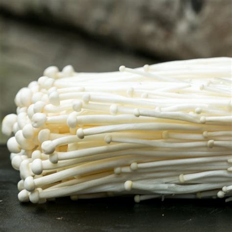 Enoki Mushroom (Enokitake) - Next Day UK Delivery – Smithy Mushrooms