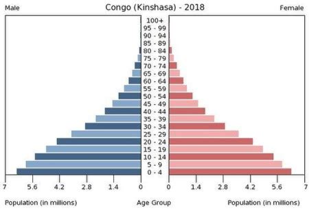 Population Pyramid | Definition, Stages & Examples - Lesson | Study.com