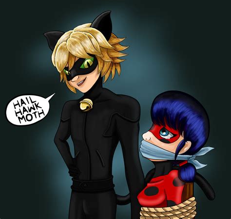 Miraculous Ladybug: Hail Hawk Moth by 3D4D on DeviantArt