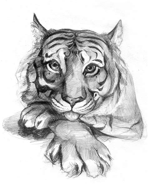 Half Tiger Half Human Drawing | PeepsBurgh.Com