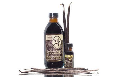 Real Mexican Vanilla Extract | mabco