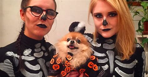 David S. Pumpkins Dog Costume | POPSUGAR Pets