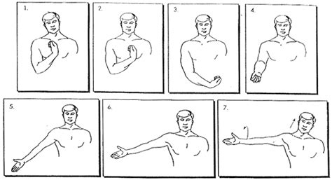 Exercises | Median nerve, Hand therapy exercises, Physical therapy