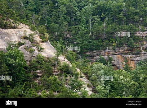 Indian Staircase and Forest at Red River Gorge Geological Area Menifee ...