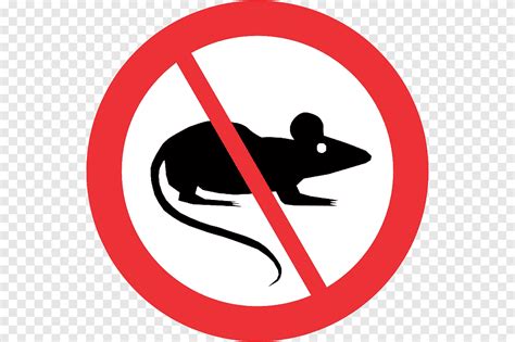 No Rats Mouse Captains Draft 4.0 Rodent, rat, animals, pet png | PNGEgg