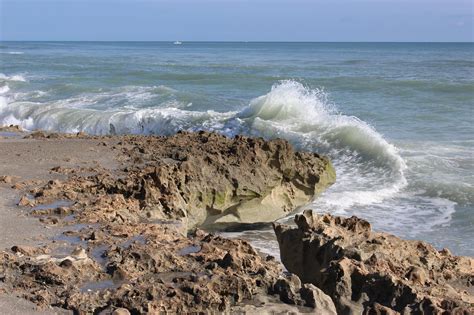 Blowing Rocks Preserve offers different kind of Florida barrier island ...