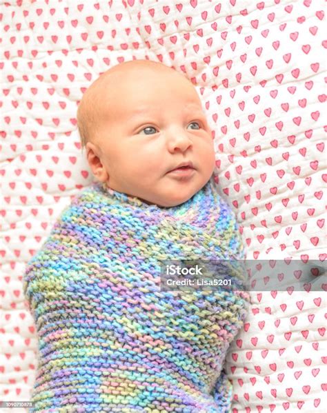 Swaddled New Baby Stock Photo - Download Image Now - Babies Only, Baby - Human Age, Baby Blanket ...